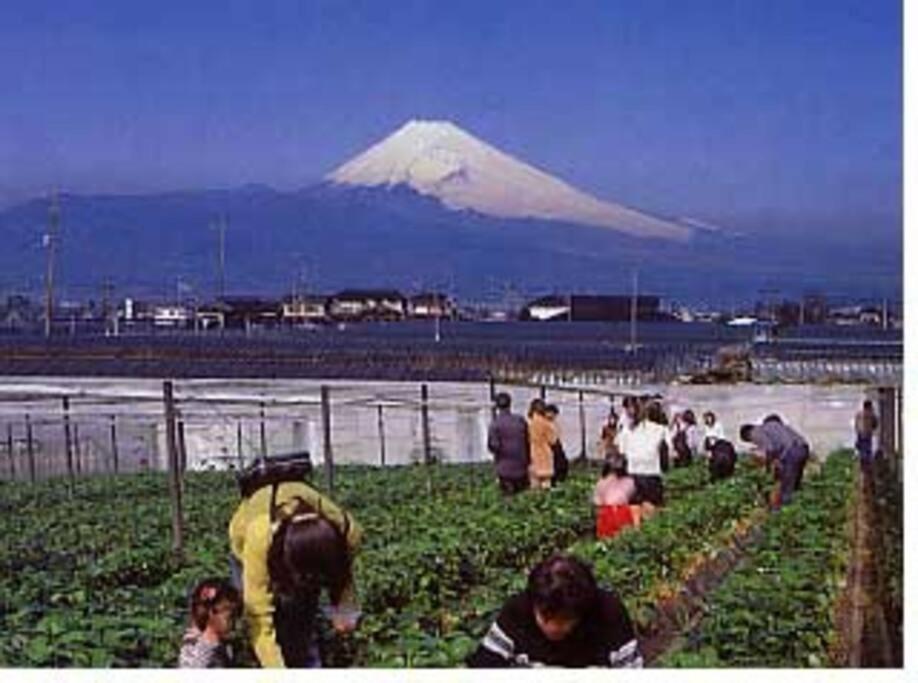 ゲストハウス+カフェわ　１日１組限定！ 築１００年の農家の古民家で宿泊体験、薪でお風呂沸かせます。焚き火もできます。 Kannami Exterior foto